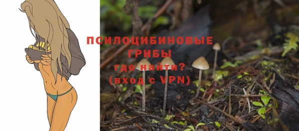 дживик Баксан