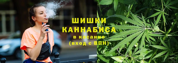 дживик Баксан