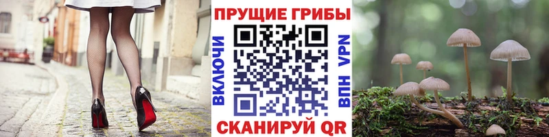 Галлюциногенные грибы мицелий  цены наркотик  Райчихинск 